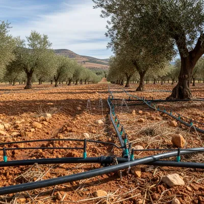 Agriculture et Pêche