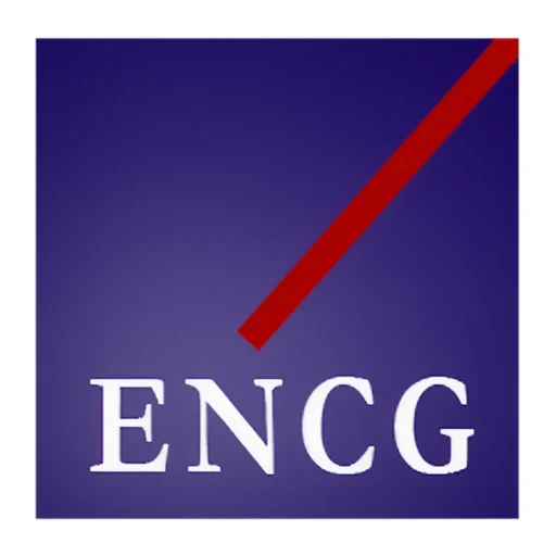 Logo ECOLE NATIONALE DE COMMERCE ET DE GESTION - DAKHLA